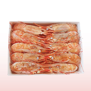 กุ้งโบตัน