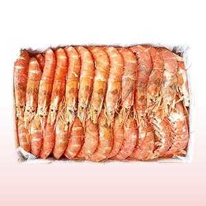 กุ้งแดงอาร์เจนตินา